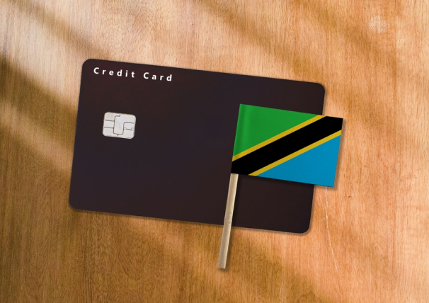 Exploring Tanzania's Digital Payments Landscape: Opportunities and Considerations