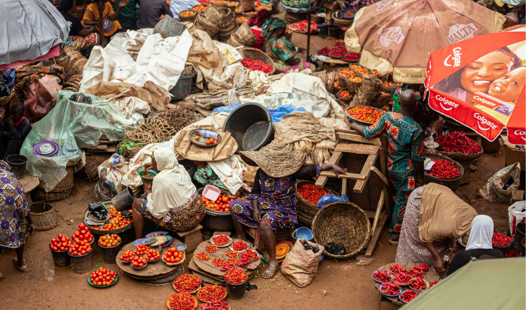 What Makes the Bono Hinterlands the Food Basket of Ghana