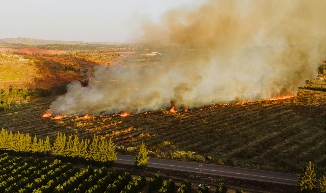 Unveiling the Crucial Impact of Firebreaks During Harmattan